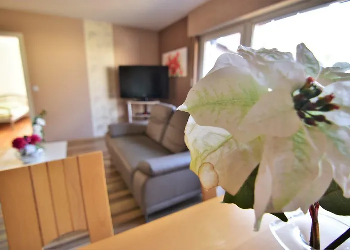 Work & Mit Dachterasse 公寓 *